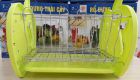 Rổ đựng trái cây hình táo