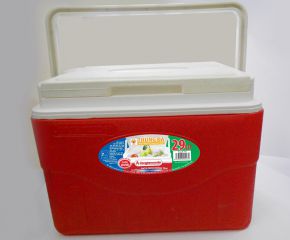 Thùng đá 29L DT0448