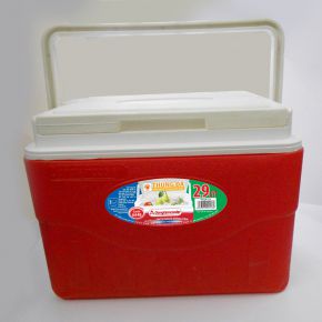 Thùng đá 29L DT0448